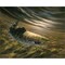 The Chase - Rainbow Trout by Bruce Langton 20" x 16" Canvas Wall Art